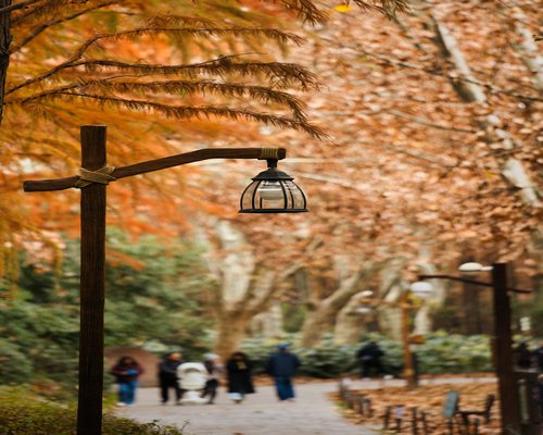 A serene view of people wearing warm casual clothing walking slowly along a path in a beautiful municipal park